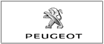 Concesionario Oficial Peugeot