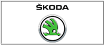 Concesionario Oficial Skoda