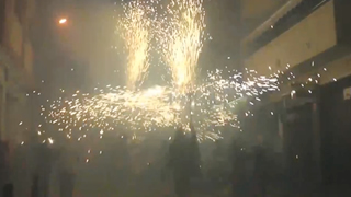 Fiesta Mayor de Sant Boi