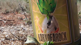 Festival Karxofarock en Sant Boi