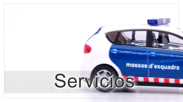 Servicios en Sant Boi Barcelona