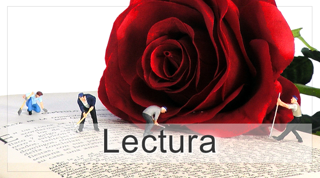 cultura lectura en sant boi, barcelona