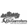 Els garrofers de Sant Boi de llobregat