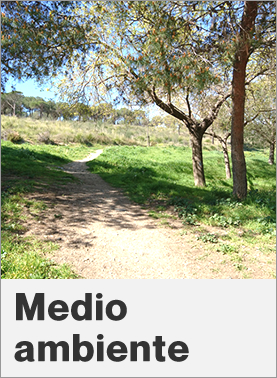 Medio ambiente en Sant Boi