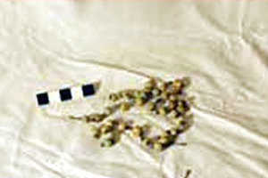 Pieza arqueologica Sant Boi