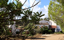 Can Ros del Llor de Sant Boi de Llobregat