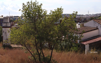 Can Ros del Llor de Sant Boi de Llobregat