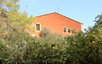 Sant Barbara del Llor de Sant Boi de Llobregat