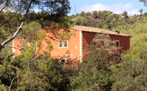 Sant Barbara del Llor de Sant Boi de Llobregat