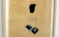 Jaume Plensa