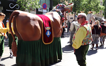 Cultura popular Sant Boi de LLobregat