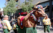 Cultura popular Sant Boi de LLobregat
