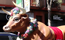 Cultura popular Sant Boi de LLobregat