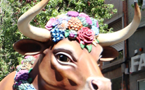 Cultura popular Sant Boi de LLobregat