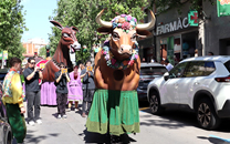 Cultura popular Sant Boi de LLobregat