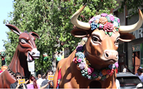 Cultura popular Sant Boi de LLobregat