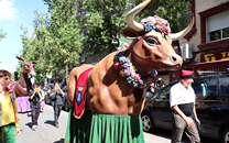 Cultura popular Sant Boi de LLobregat