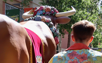 Cultura popular Sant Boi de LLobregat