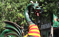 Drac Pepitu Sant Boi de LLobregat