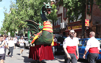 Drac Pepitu Sant Boi de LLobregat