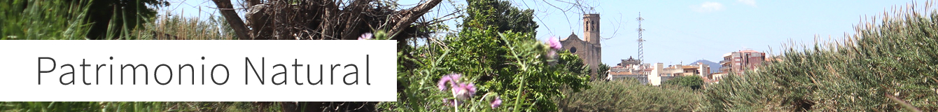 Patrimonio natural de Sant Boi