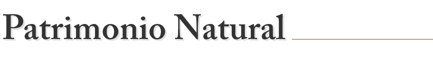 Patrimonio Natural