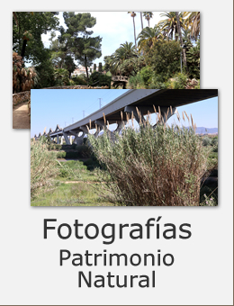 Fotografia de Sant Boi