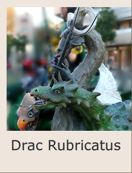 Cultura popular Sant Boi Drac Rubricatus