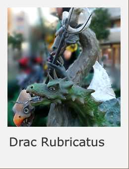 Cultura popular Sant Boi Drac Rubricatus