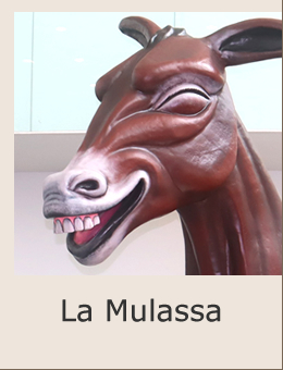 Cultura popular Sant Boi La Mulassa