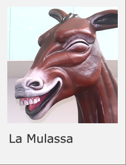 Cultura popular Sant Boi La Mulassa