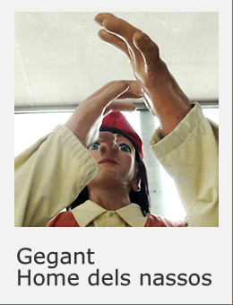 Cultura popular Sant Boi Gegant Home dels nassos