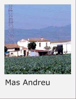 Masias de Sant Boi de Llobregat