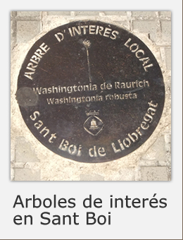 Arboles de inter&eacute;s en Sant Boi