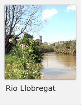 Rio Llobregat