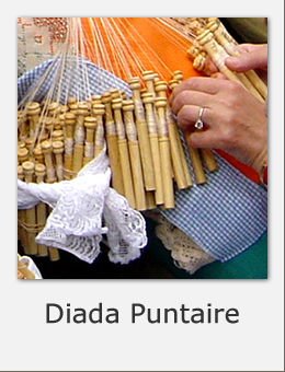Diada Puntaire Sant Boi