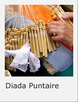 Diada Puntaire Sant Boi