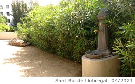 Fuente de Sant Boi
