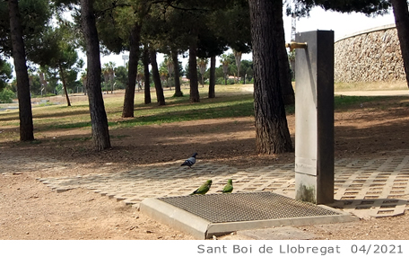 Fuente de Sant Boi