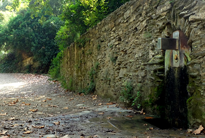 Font de Golbes