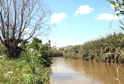 Rio Llobregat