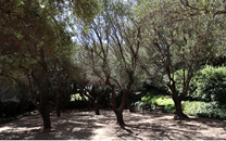 Can Julia Sant Boi de LLobregat