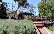 Torre del sol Sant Boi de LLobregat