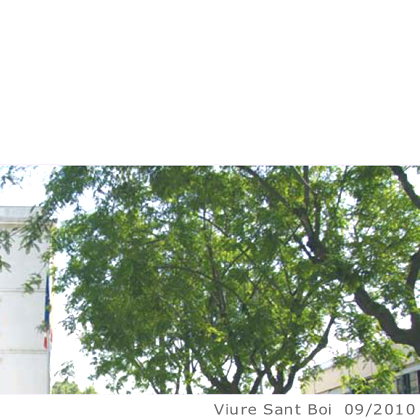 Arbol de interes local de  Sant Boi de Llobregat