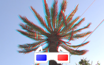 Arbol de interes local de  Sant Boi de Llobregat
