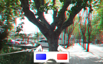 Arbol de interes local de  Sant Boi de Llobregat