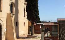 Arbol de interes local de  Sant Boi de Llobregat