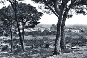 Postal de Sant Boi de Llobregat