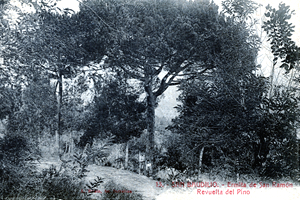 Ermita de Sant Ramon