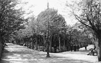 Sanatorio de Sant Boi